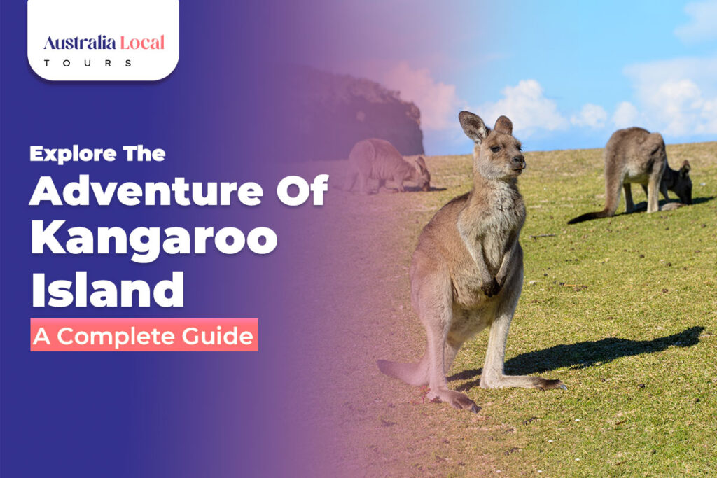 Adventure Tours of Kangaroo Island