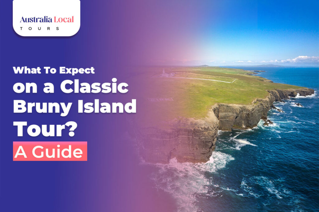 Classic Bruny Island Tour