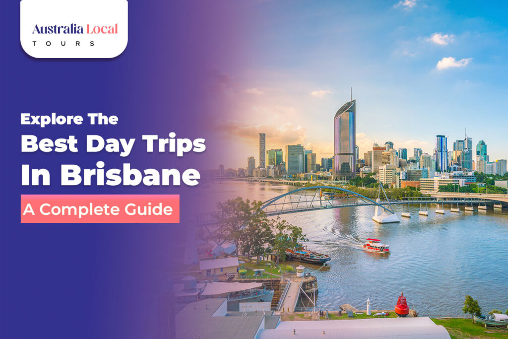 Best Day Trips in Brisbane
