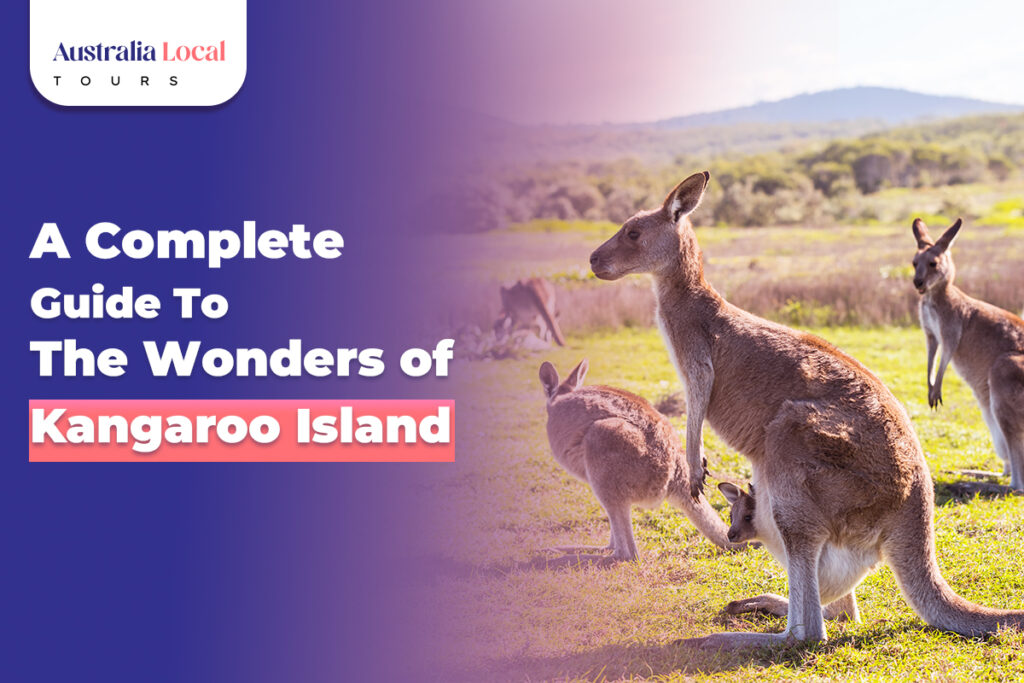Adventure Tours Kangaroo Island