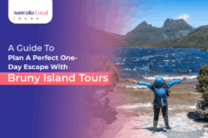 Bruny Island Tours