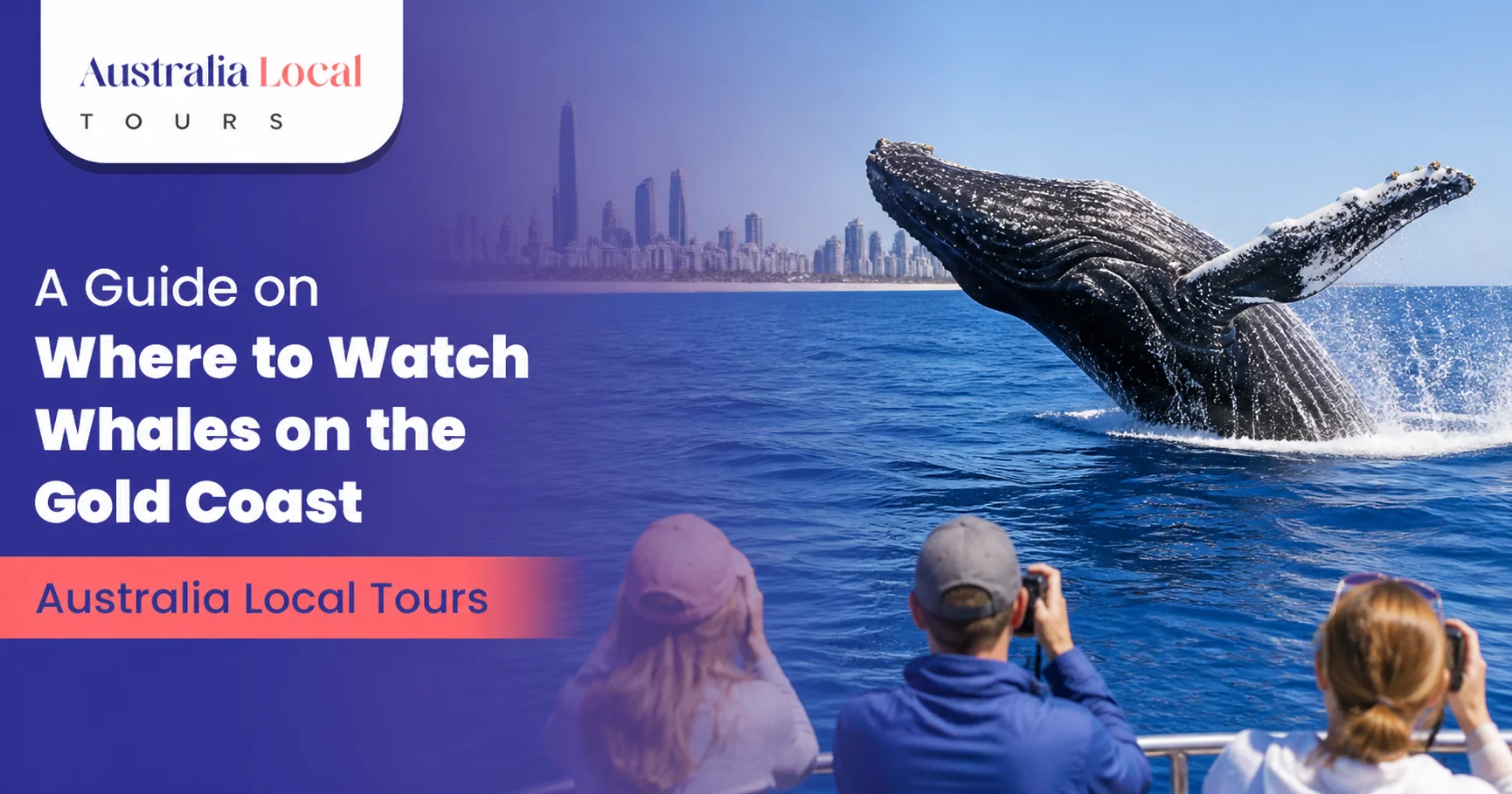 Gold Coast Whale Tours