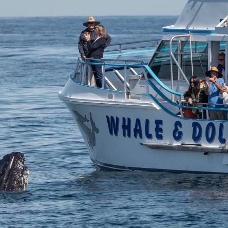 437578655_356186384131892_2329278110998186527_n_lg