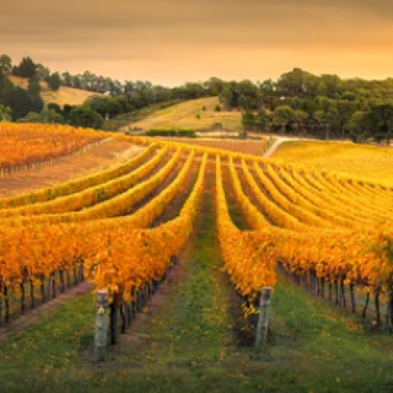 Screenshot 2025-07-30 170656