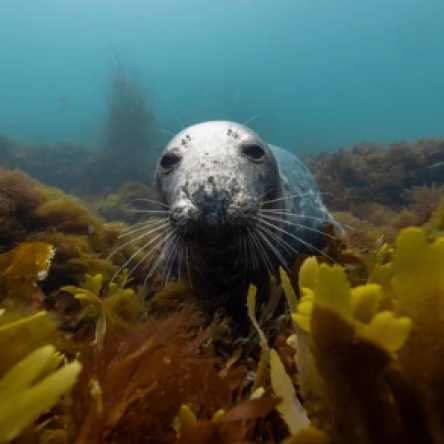 Screenshot 2025-07-31 094103