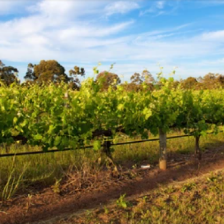 Screenshot 2025-07-31 100141