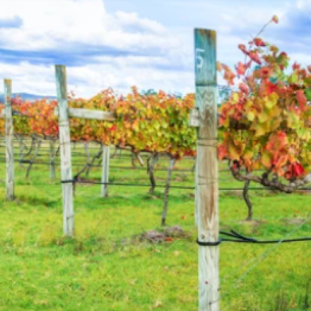 Screenshot 2025-07-31 163426