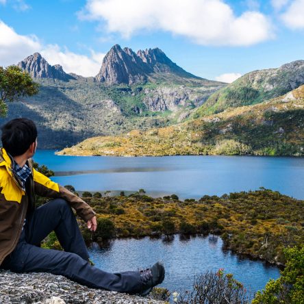 Traveller,Man,Explore,Landscape,Of,Marions,Lookout,Trail,In,Cradle