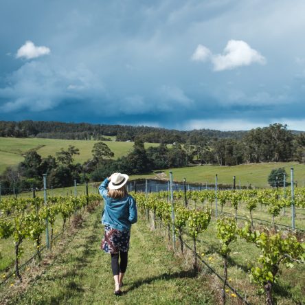 Young,Female,Walking,In,The,Vineyards,In,Tasmania,,Wearing,Hat