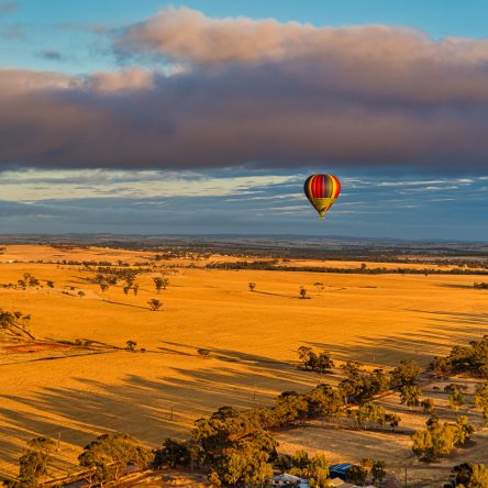 Northam,,Wa,-,Australia,11-15-2020,Hot,Air,Ballooning,Is,An