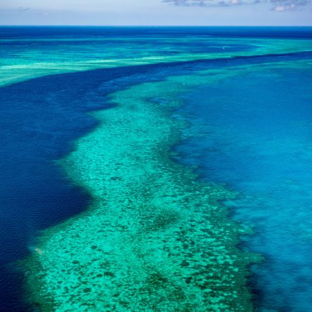 Great,Barrier,Reef,,Queensland,,Australia.,Airlie,Beach,Scenic,Flight.,Hardy